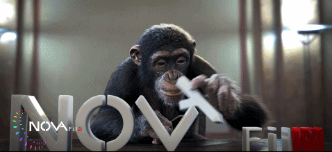 （生(shēng)物(wù)毛發解決方案）