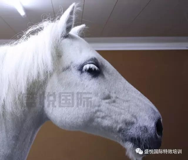 盛悅國(guó)際物(wù)理(lǐ)特效全流程助推江南(nán)影(yǐng)視(shì)産業(yè)！