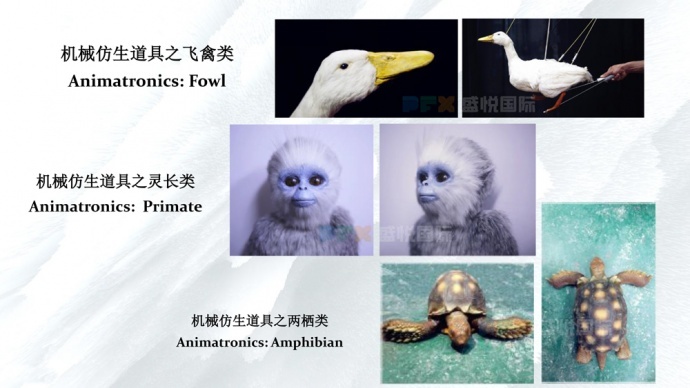 盛悅國(guó)際物(wù)理(lǐ)特效全流程助推江南(nán)影(yǐng)視(shì)産業(yè)！